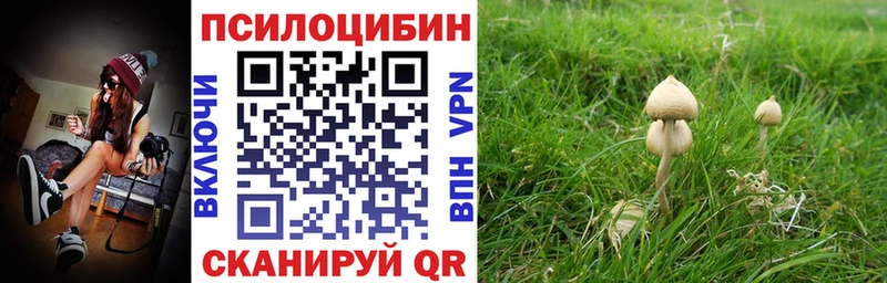 Псилоцибиновые грибы Cubensis  наркотики  Железноводск 